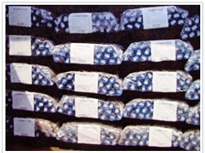 Export Packaging